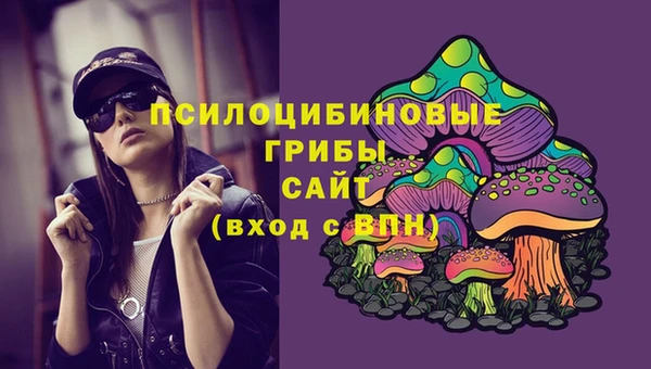 наркотики Алексин
